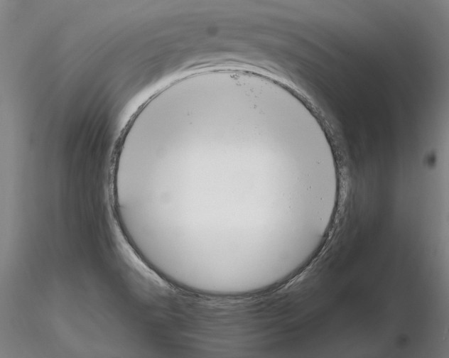 X0000114661518200912011123