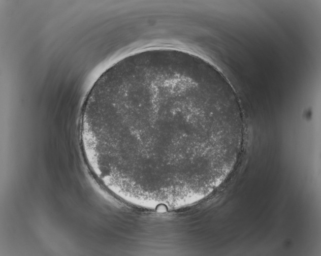 X0000114661519200912011123