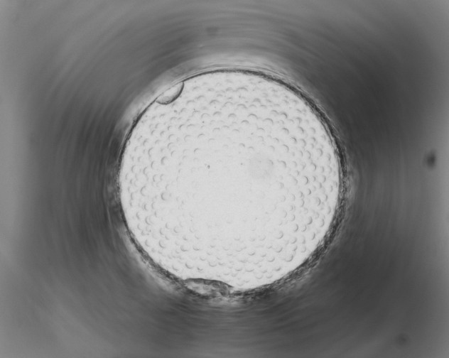 X0000114661521200912011123