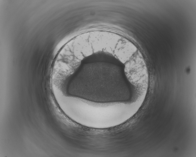 X0000114661522200912011123