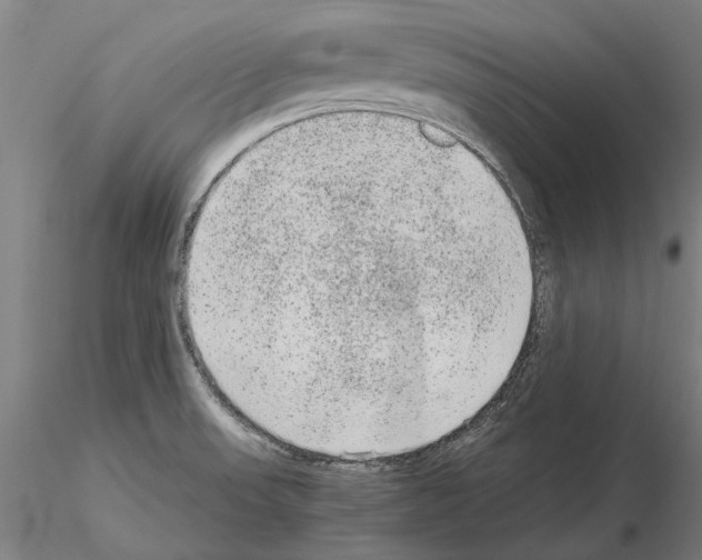 X0000114661523200912011123