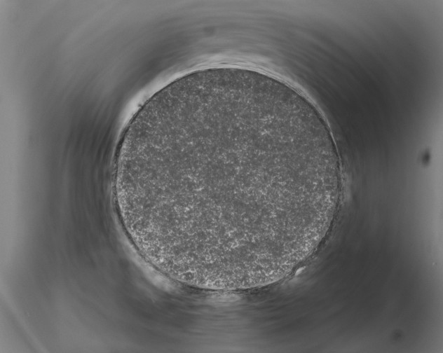 X0000114661525200912011123