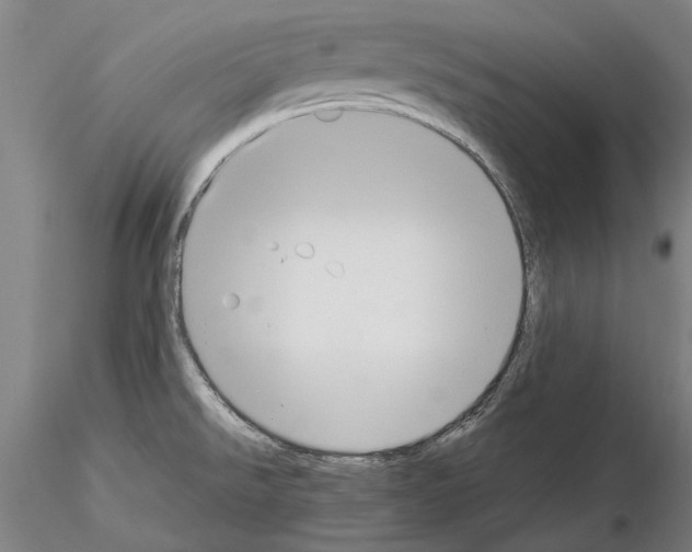 X0000114661526200912011123