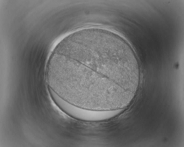 X0000114661527200912011123