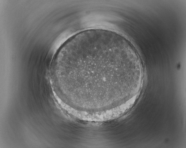 X0000114661529200912011123