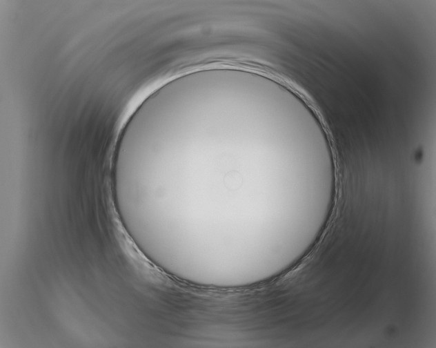 X0000114661530200912011123