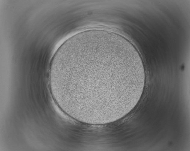 X0000114661531200912011123