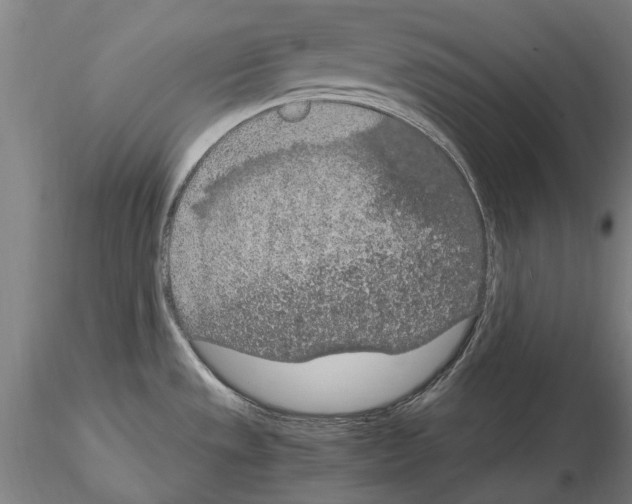 X0000114661533200912011123