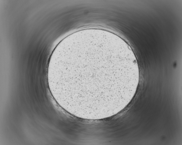 X0000114661534200912011123