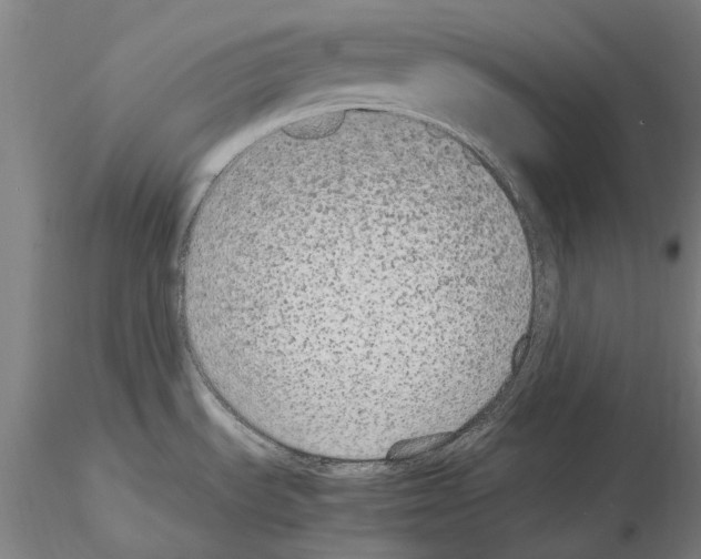 X0000114661535200912011123