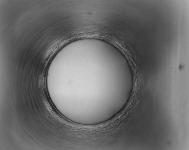 X0000114670002200910211020