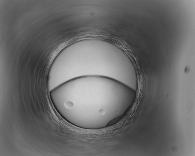 X0000114670003200910211020