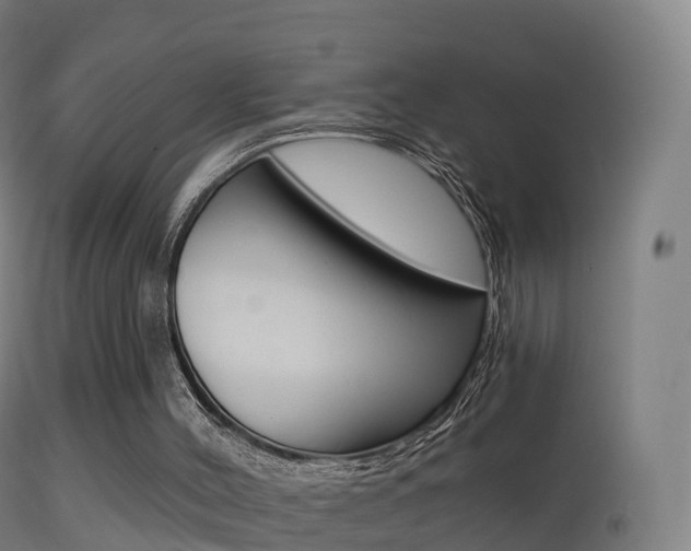 X0000114670004200910211019