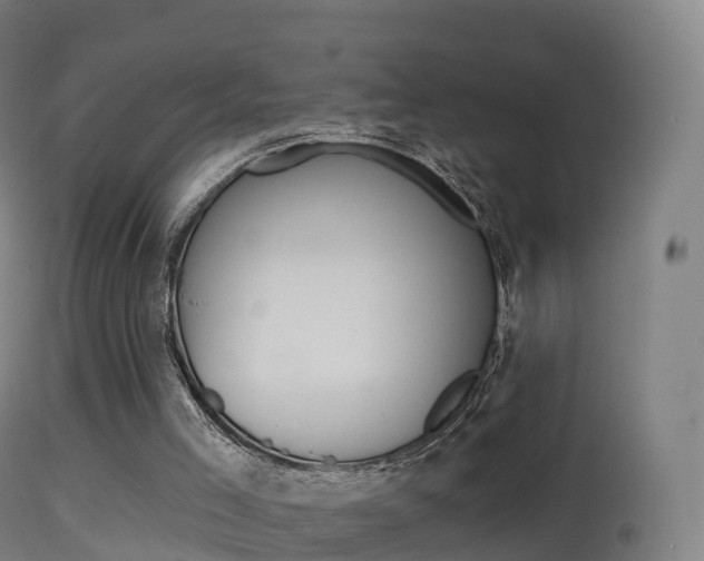 X0000114670005200910211019