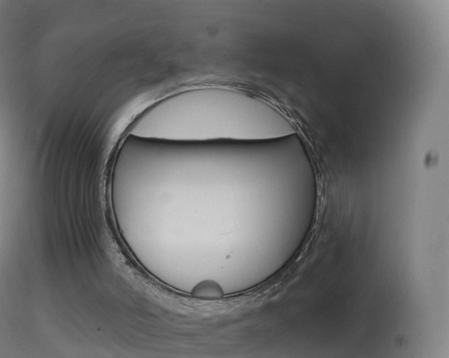 X0000114670006200910211019