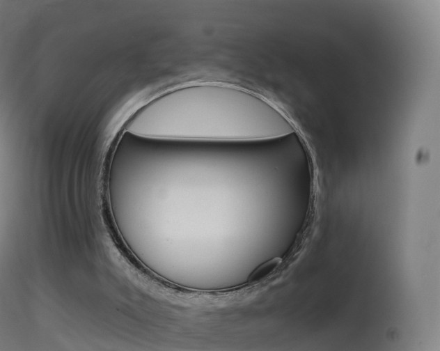 X0000114670007200910211019