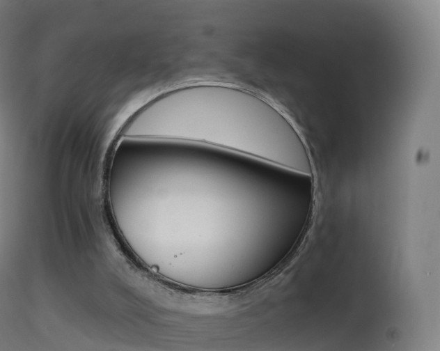 X0000114670008200910211019