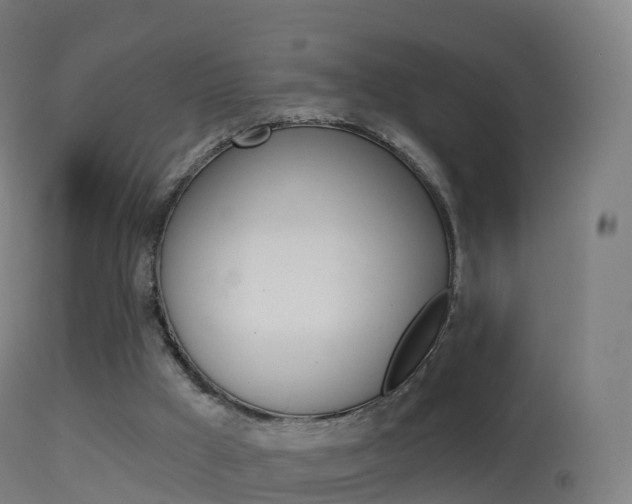 X0000114670009200910211019