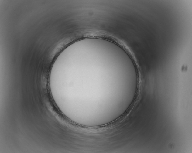 X0000114670010200910211019