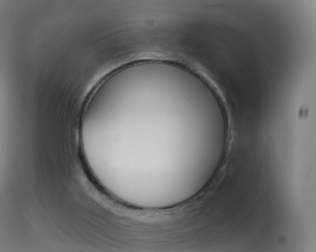 X0000114670011200910211019