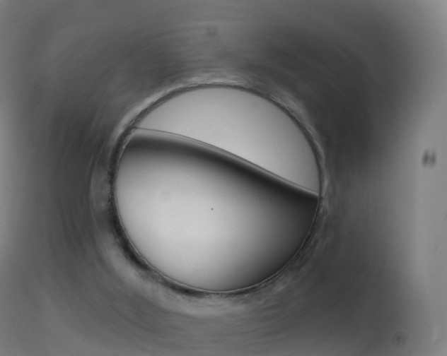 X0000114670012200910211019
