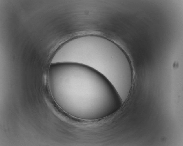 X0000114670013200910211019