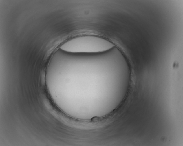 X0000114670014200910211019