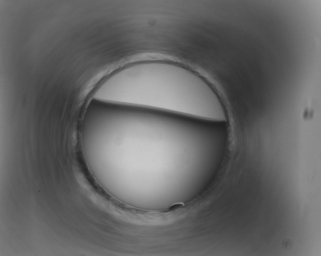 X0000114670015200910211019