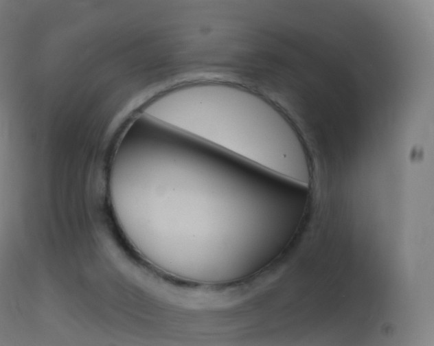 X0000114670016200910211019