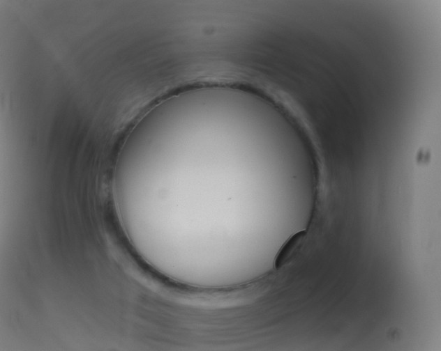 X0000114670017200910211019