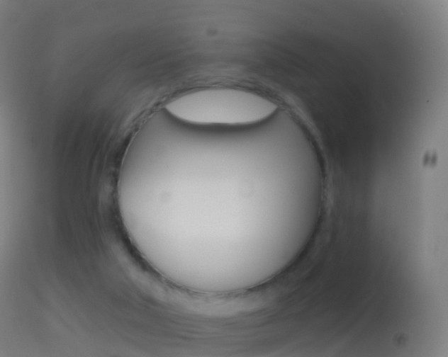 X0000114670018200910211019