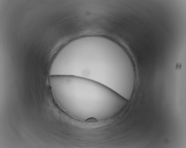 X0000114670019200910211019