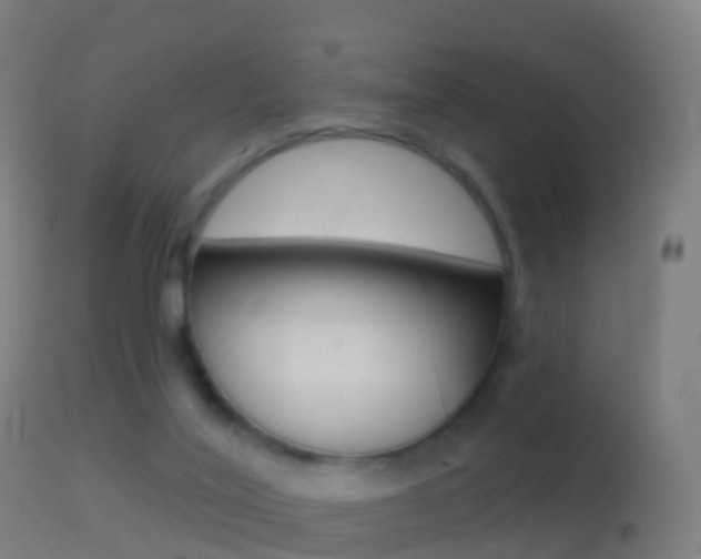 X0000114670020200910211019
