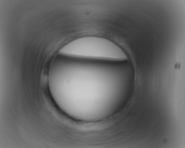 X0000114670021200910211019