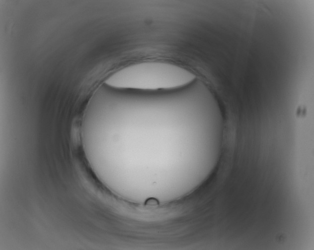 X0000114670022200910211019