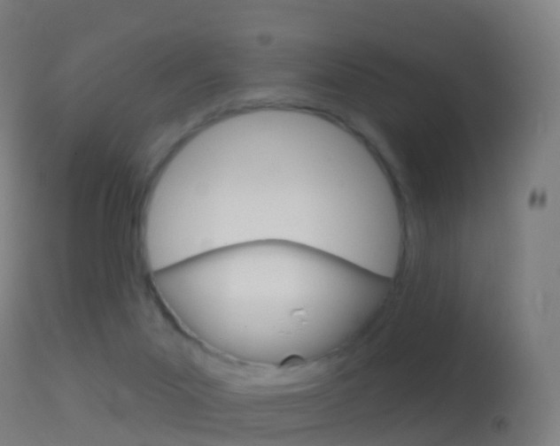 X0000114670023200910211019