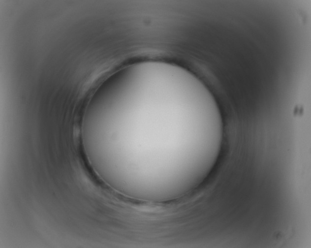 X0000114670024200910211019