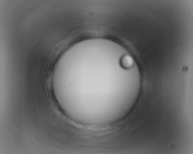 X0000114670026200910211019