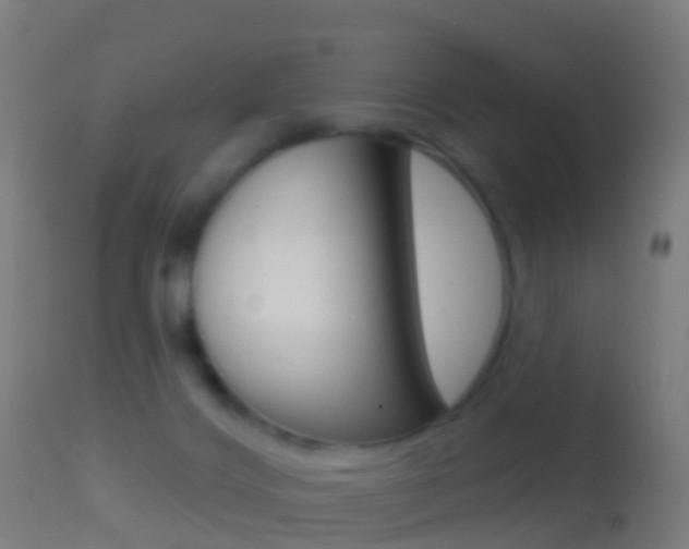 X0000114670028200910211019