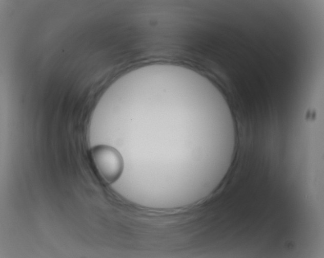X0000114670029200910211019