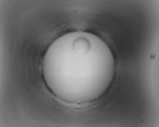 X0000114670030200910211019