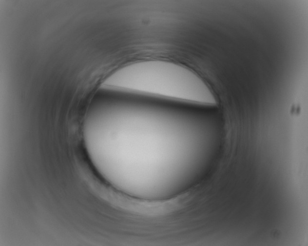 X0000114670031200910211019
