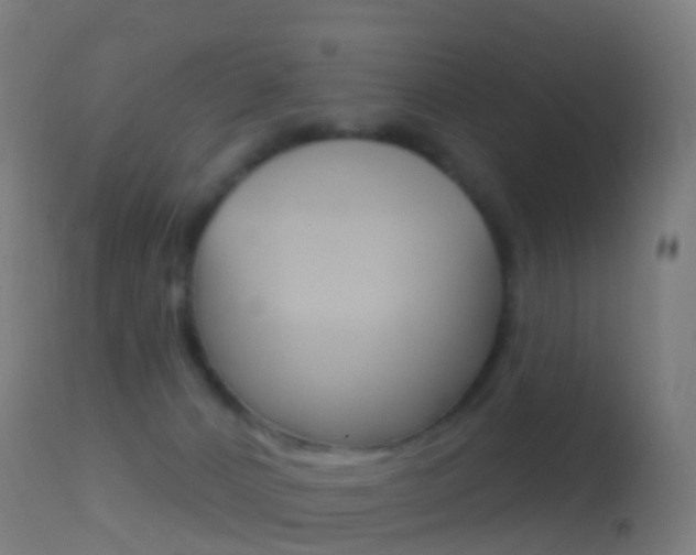 X0000114670032200910211019