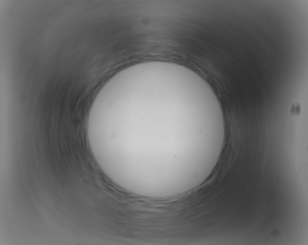 X0000114670033200910211019