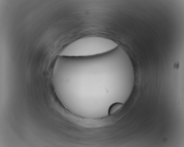 X0000114670034200910211019