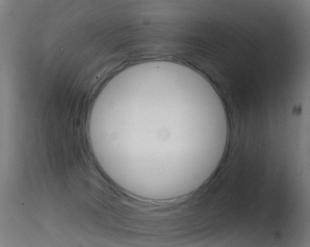 X0000114670035200910211019
