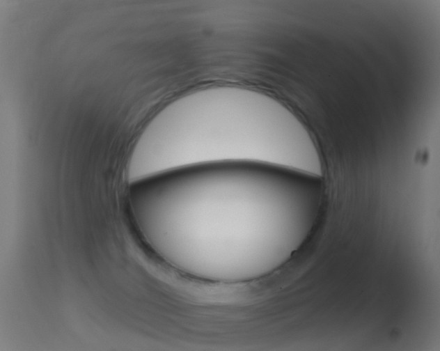 X0000114670036200910211019