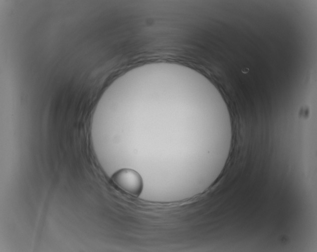 X0000114670037200910211019