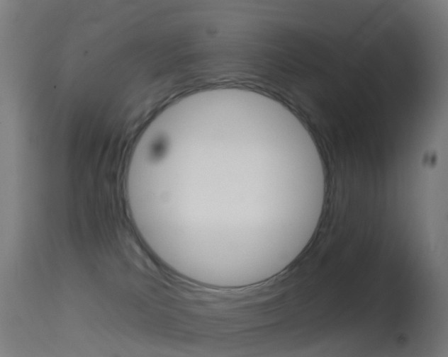 X0000114670039200910211019