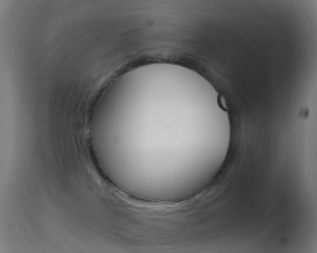 X0000114670040200910211019